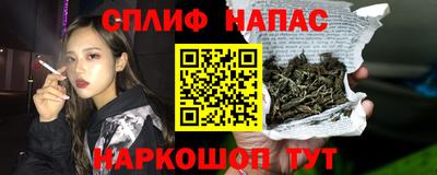 спиды Волгодонск