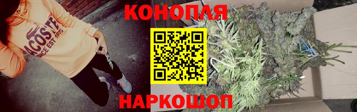 Бошки Шишки SATIVA & INDICA  Бошки марихуана семена  Марихуана Bruce Banner  Медногорск  Марихуана индика  Вход с VPN 